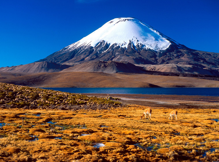 Gul mossa, sjö och vulkan i Anderna.