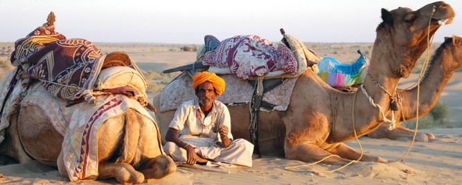 Man och kameler