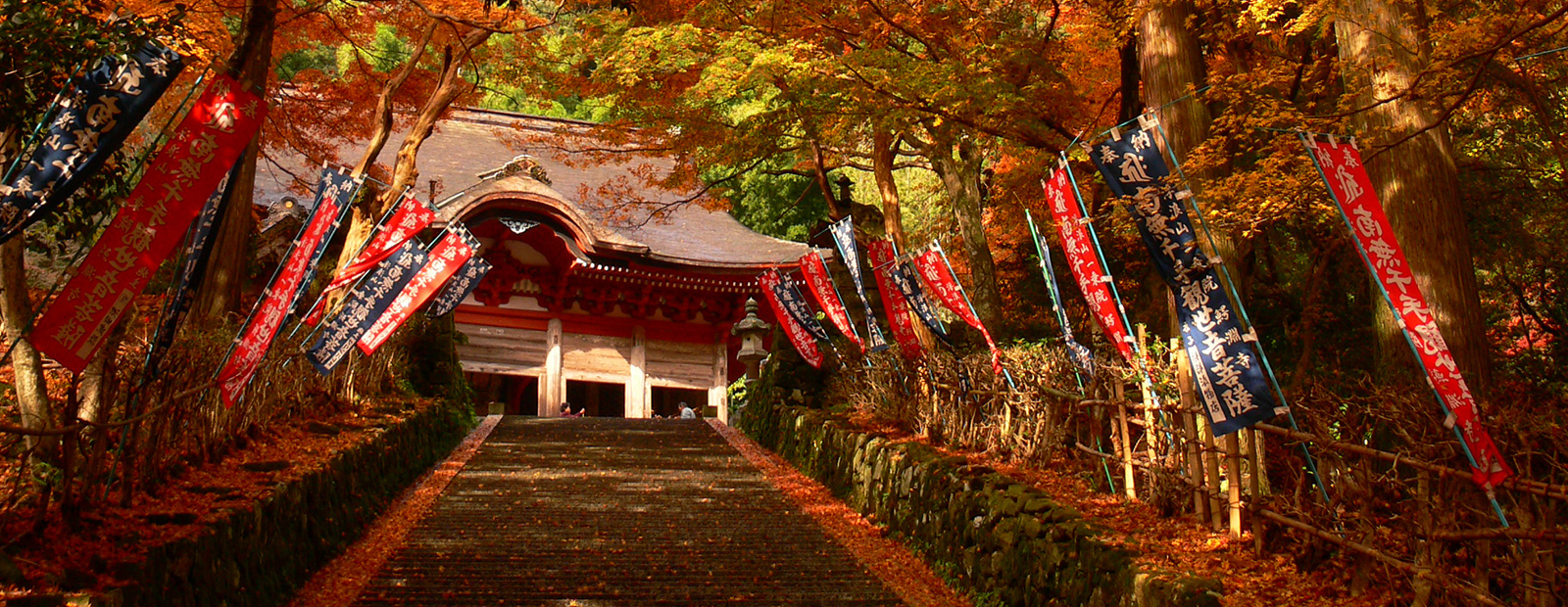 Tempel bland höstlöv i Kyoto