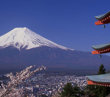 Tempel och blommande körsbärsträd framför Fuji