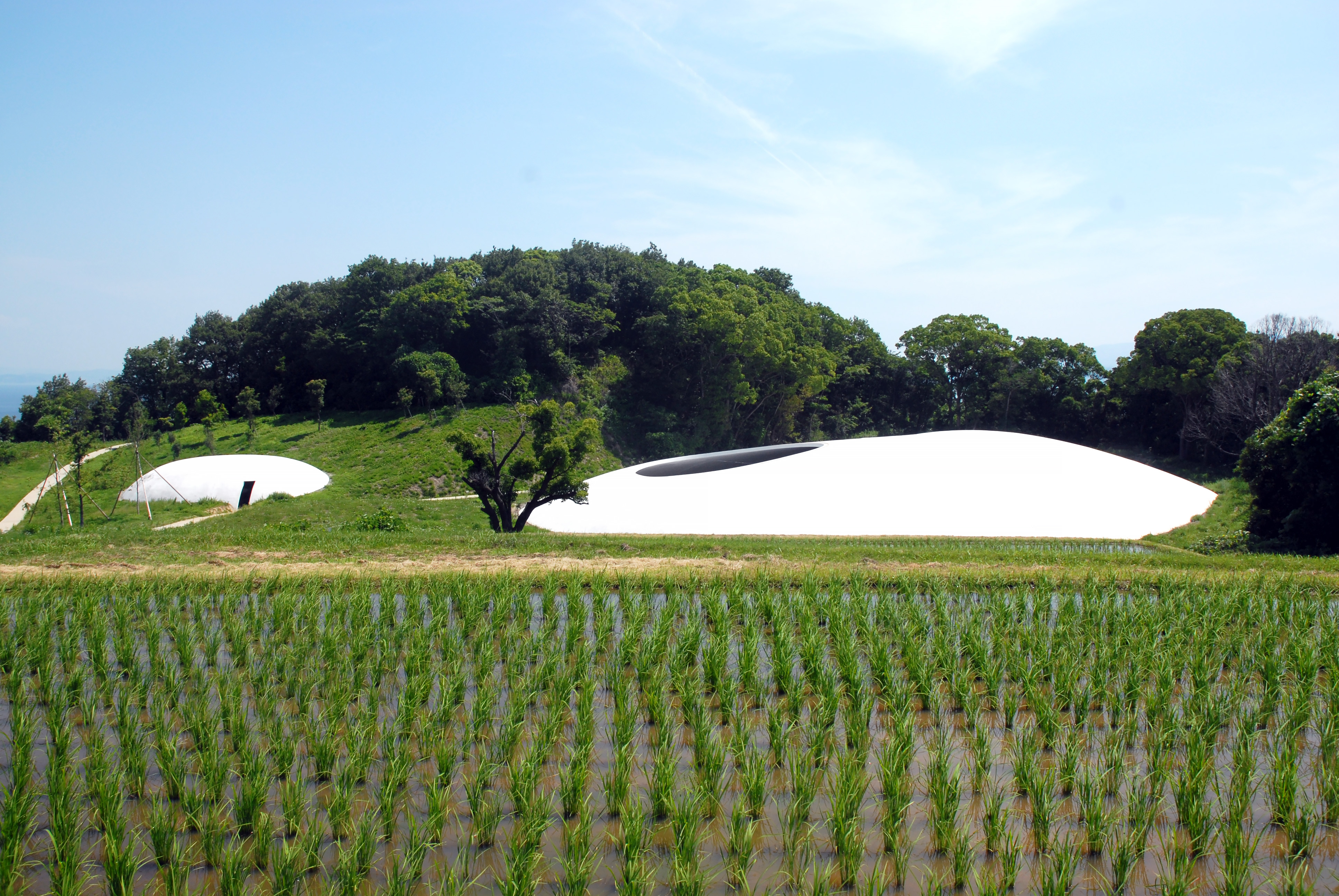 Teshima Museum