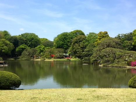 Rikugien-trädgården Tokyo
