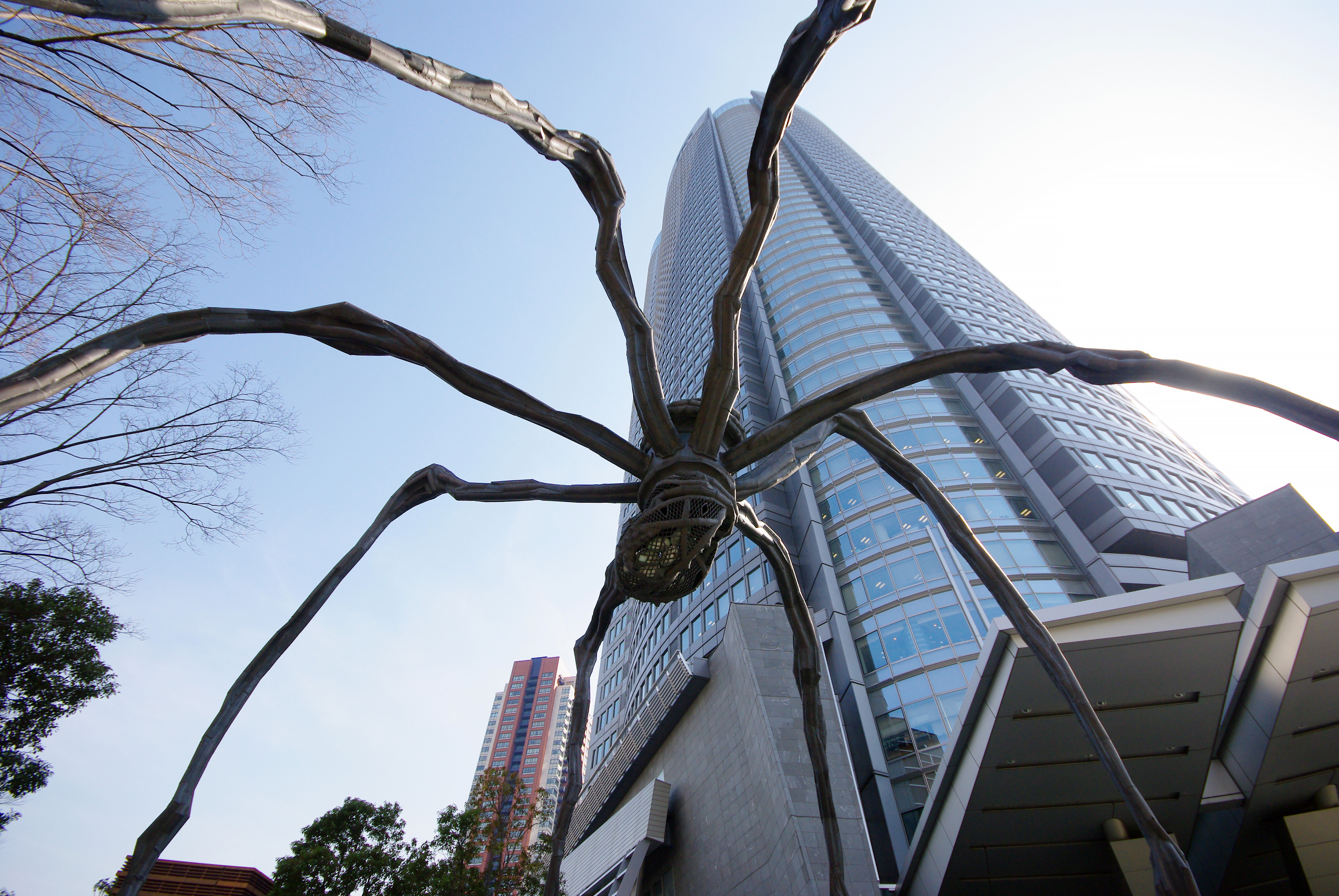 Roppongi hills spinder