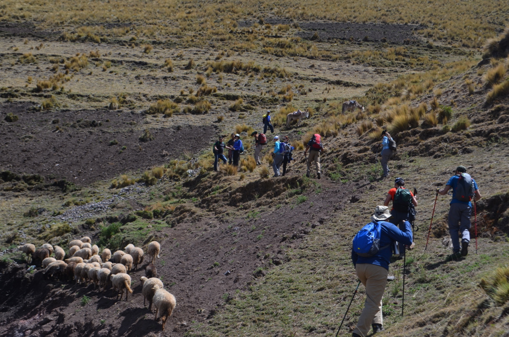 Vandring Cusco Heliga dalen
