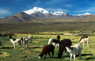 Altiplano-dag11.jpg