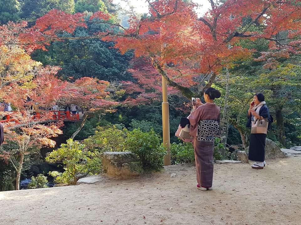 Miyajima höst