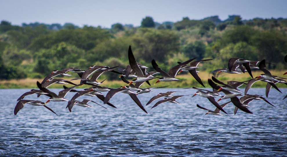 Yosh erotik porno rasmlar Onlayn porno partiyalar kompilyatsiya videolari