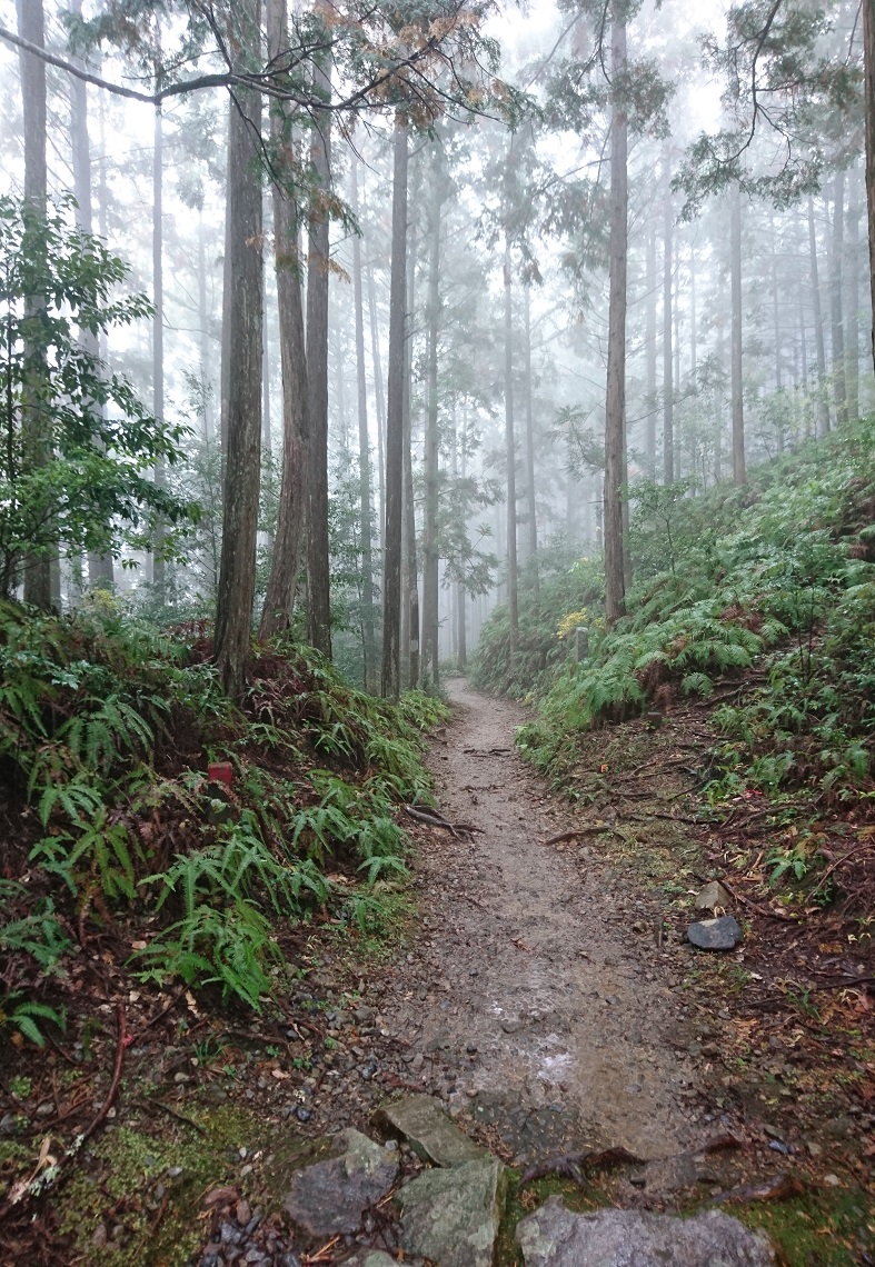 Kumano dimma