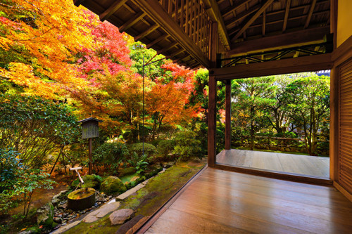 Stenträdgården i Kyoto