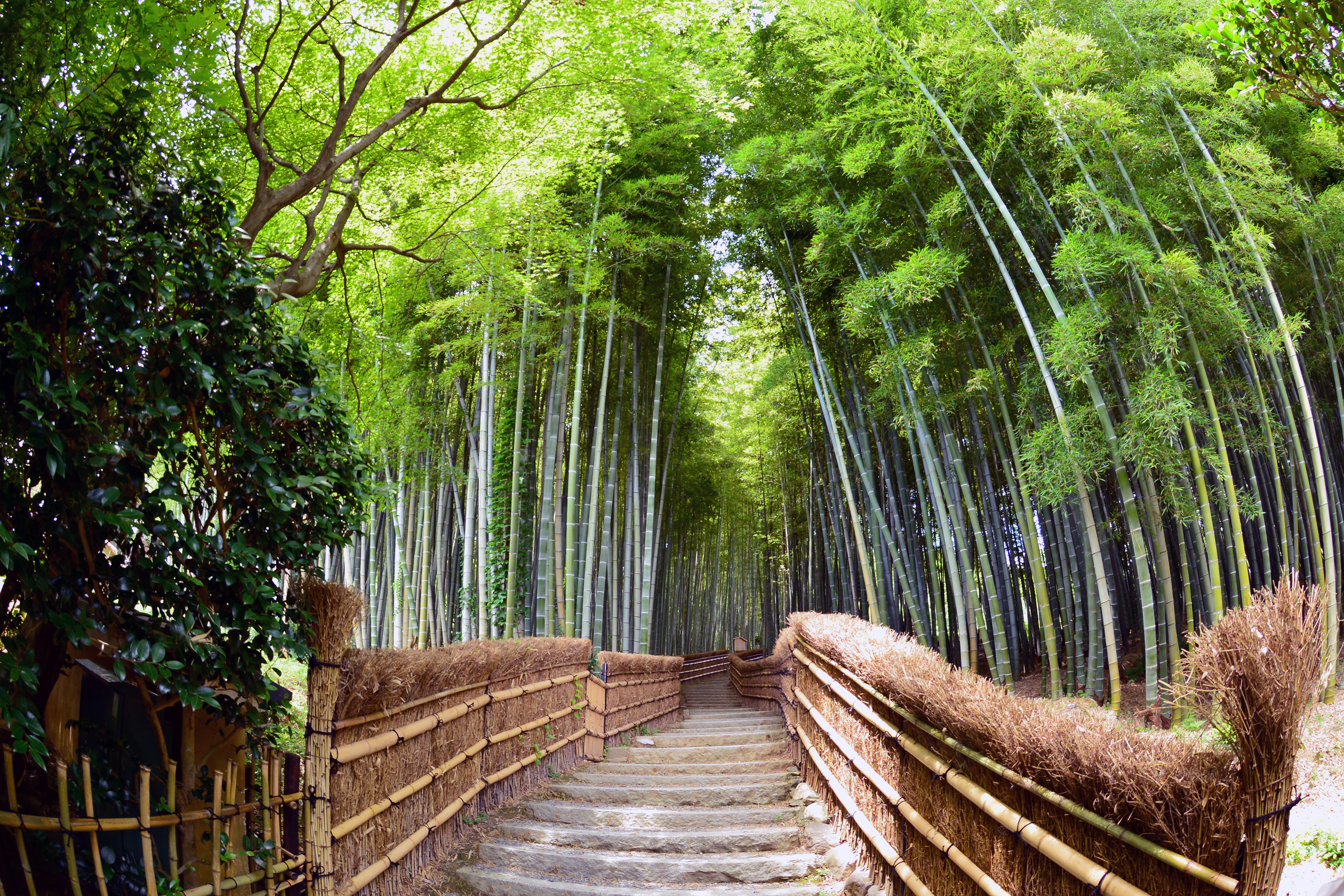Arashiyama i Kyoto