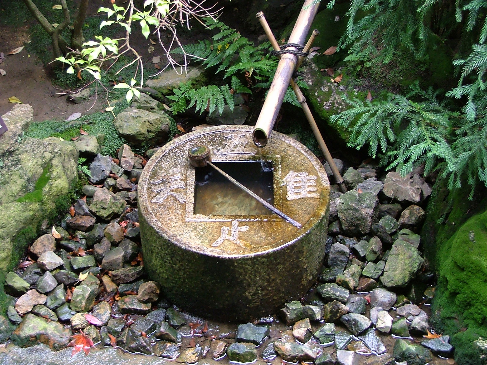 Uppsamling av vatten i skog