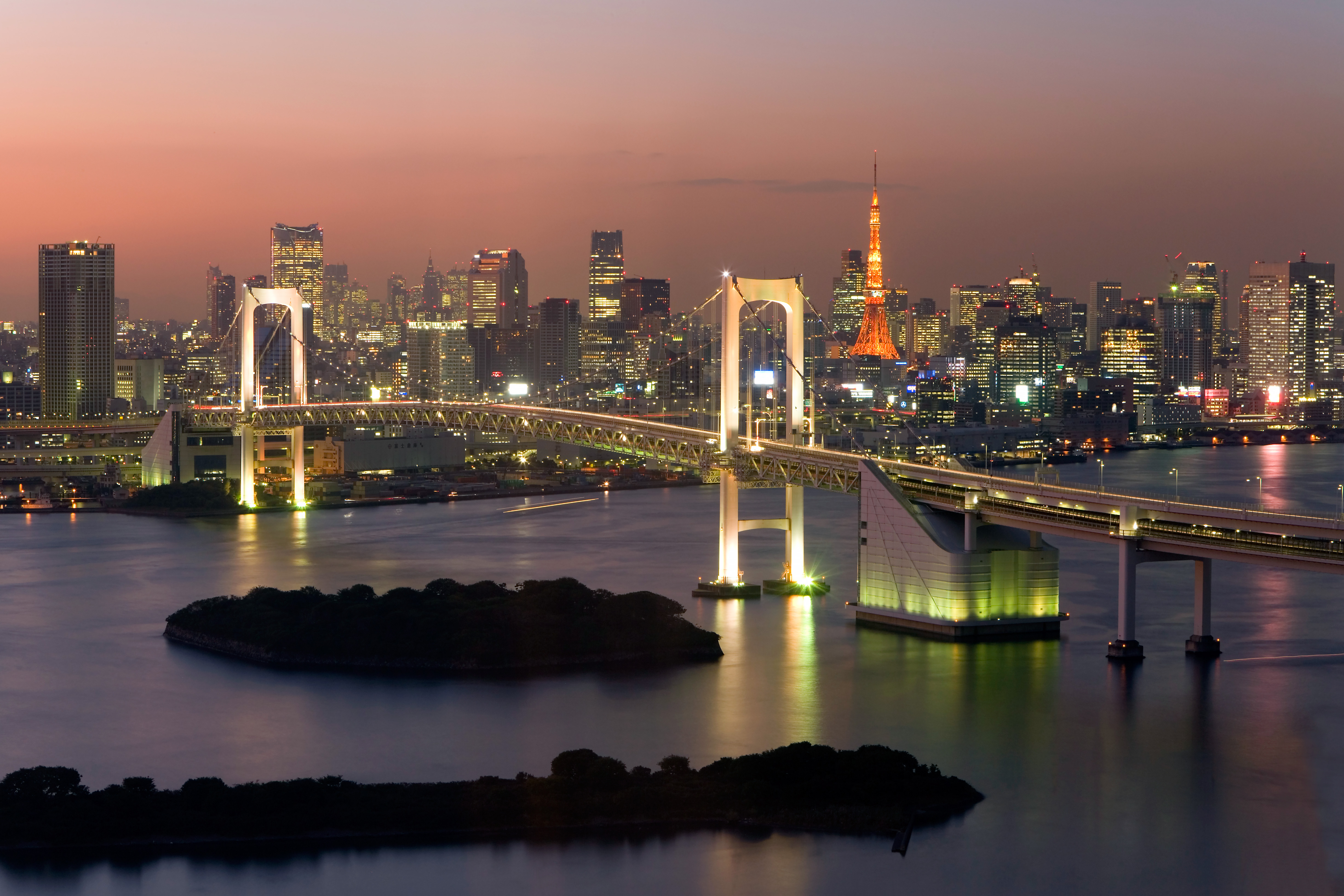 Nattvy över Tokyo