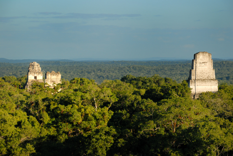 Mayatempel i Tikal sticker upp över träden.
