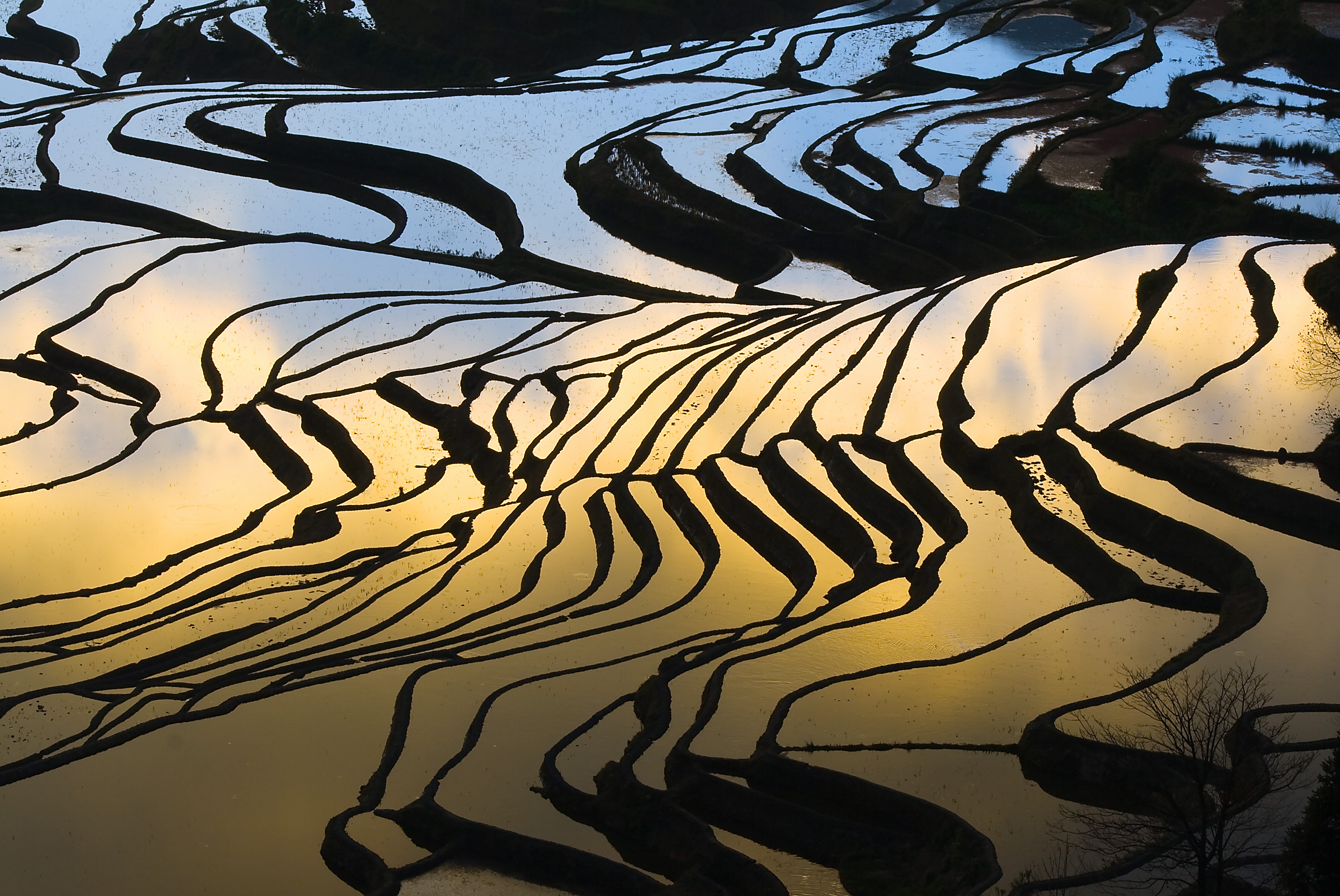 Terassodling i Ping An