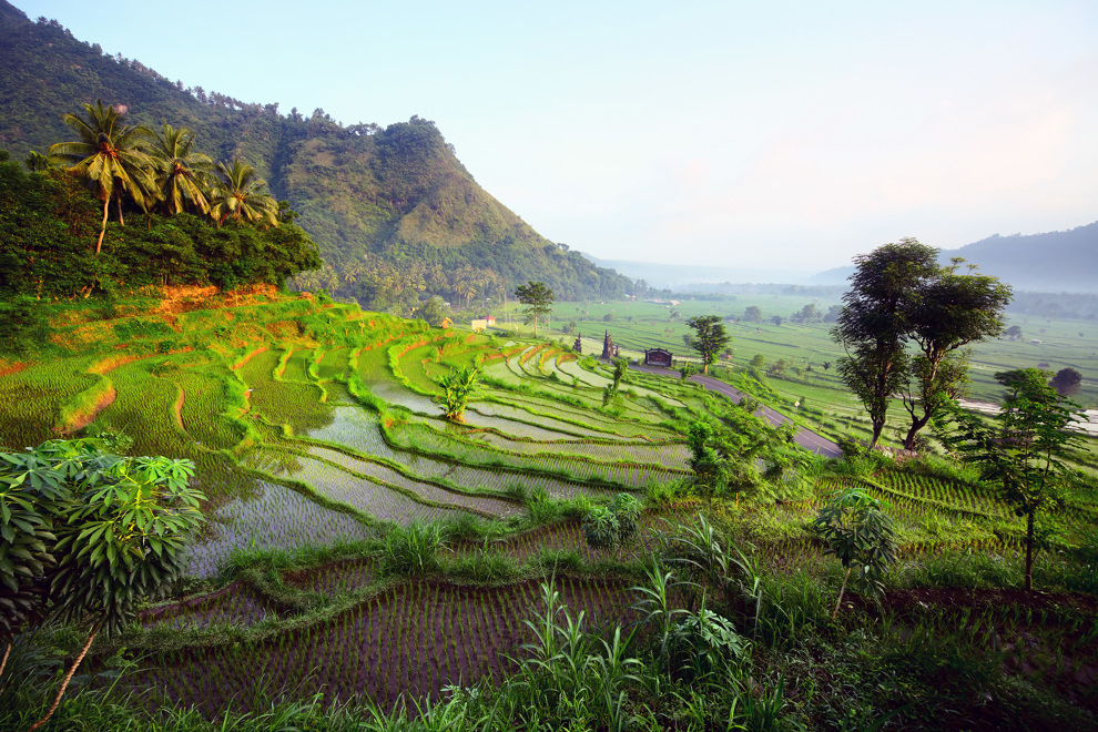 Balis risfält