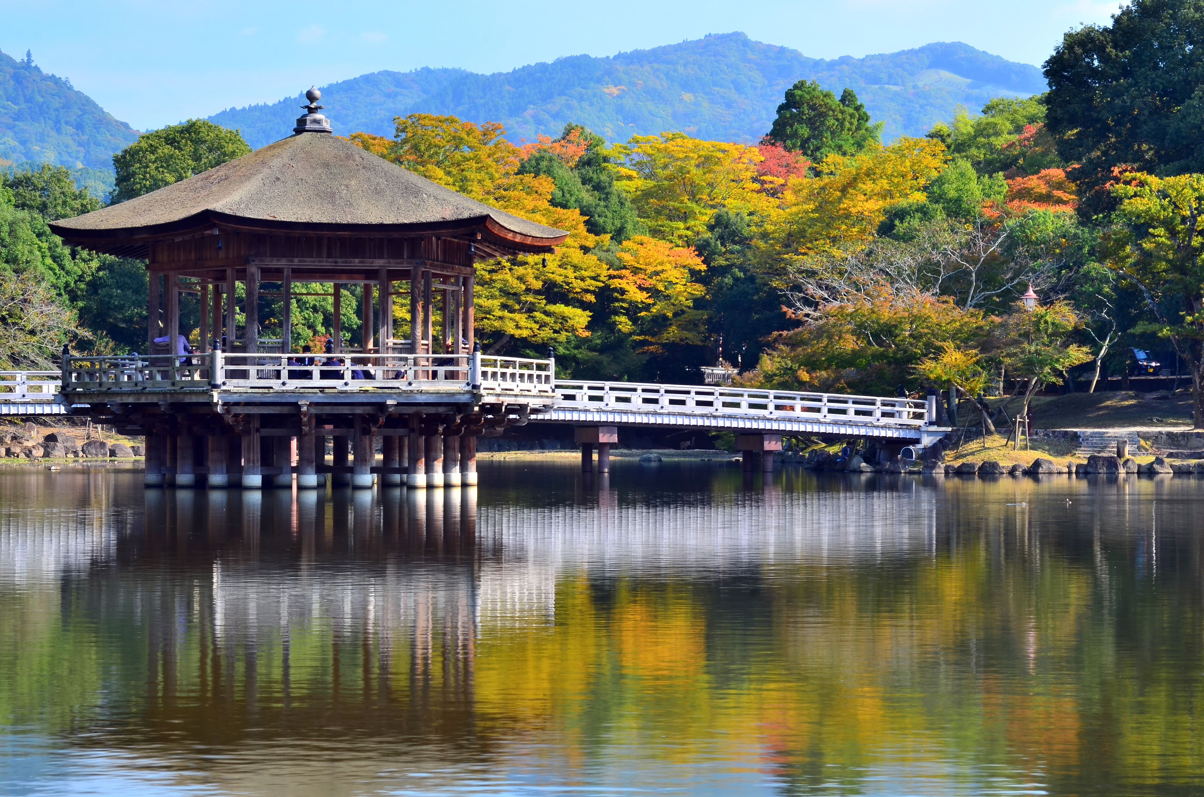 Gångbro över vatten