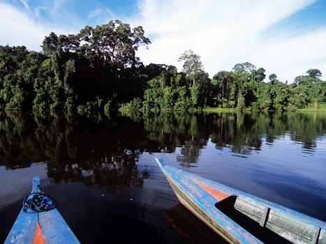Två kanoter i Amazonas