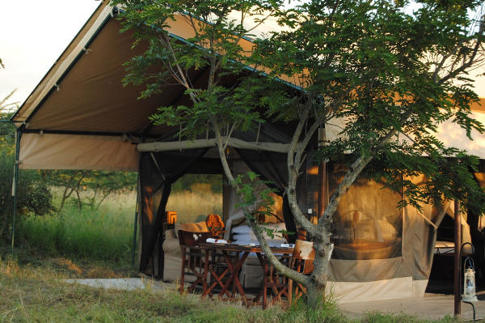 Våra tält i Serengeti
