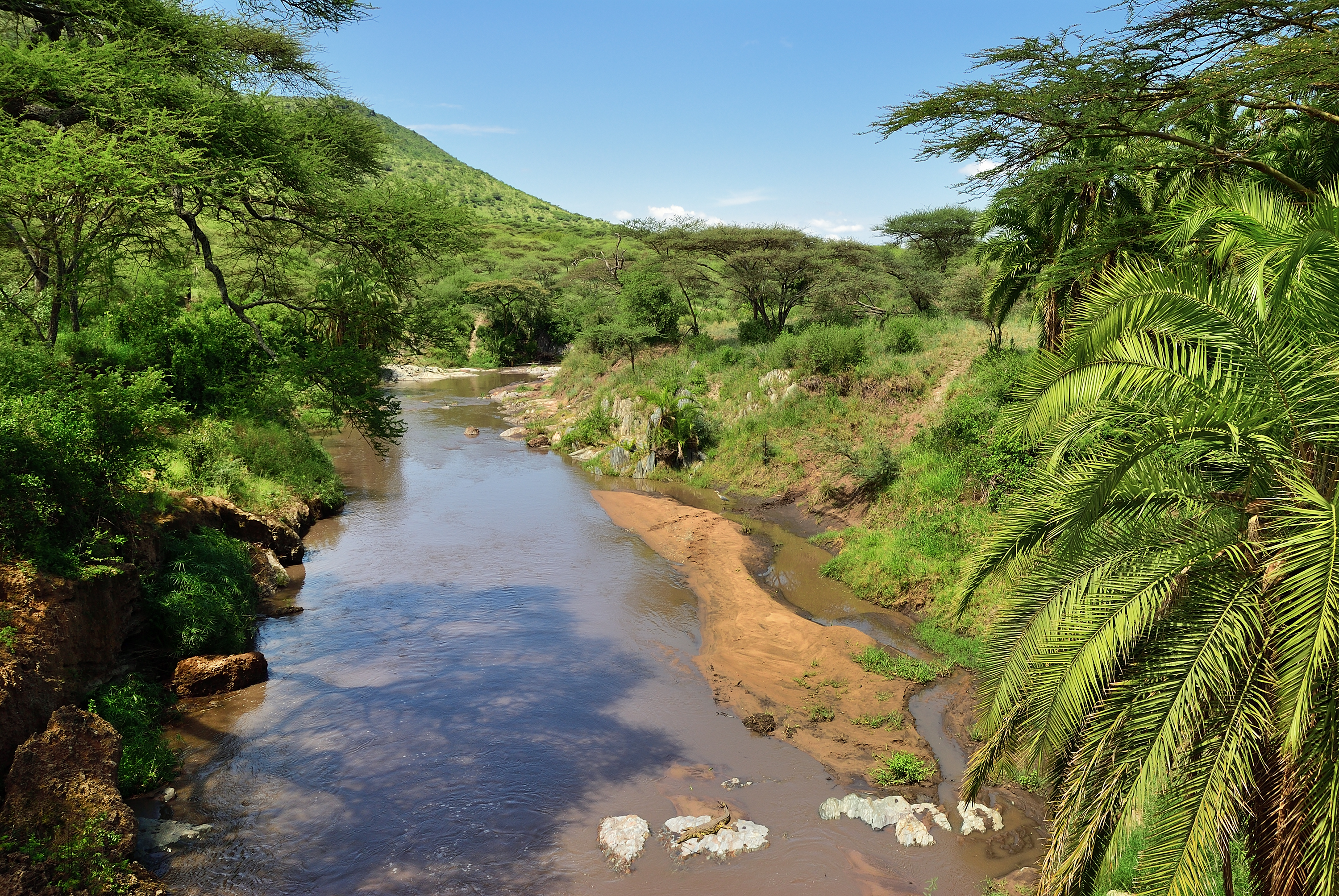 I grönskan längs seronerafloden spanar vi efter leopard  