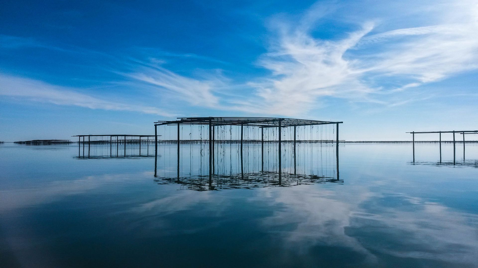 Ostronodling i lagunen