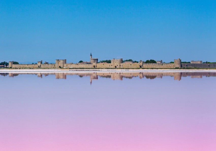 Rosa saltvatten med Aigues-Mortes i bakgrunden
