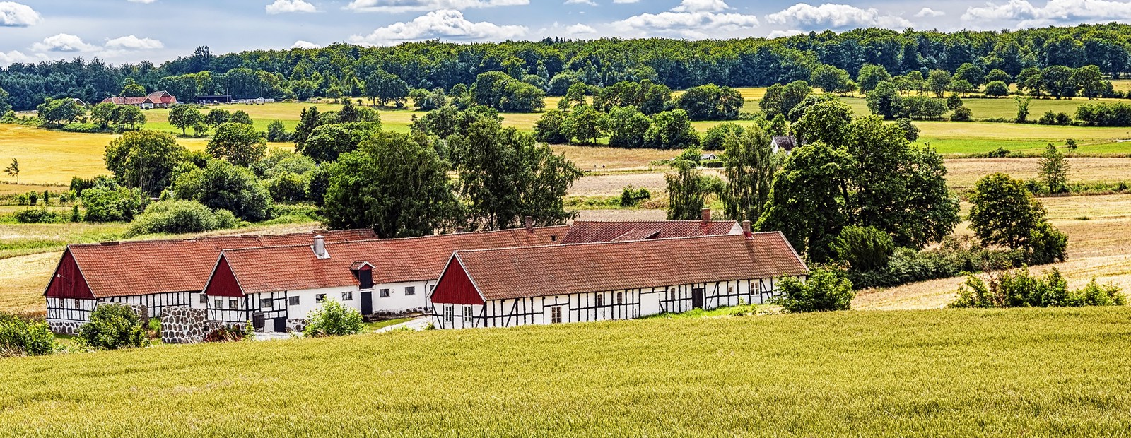 På bilden ser vi en landskapsbild från Österlen med en lagård