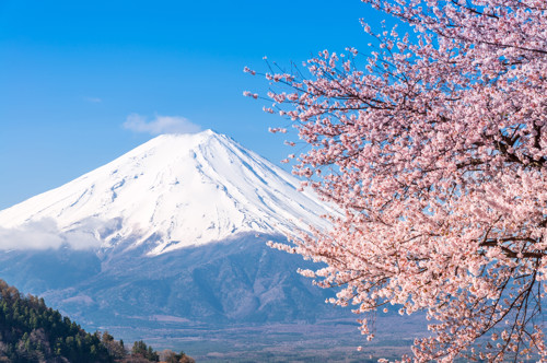 Fuji - Kawaguchi ko