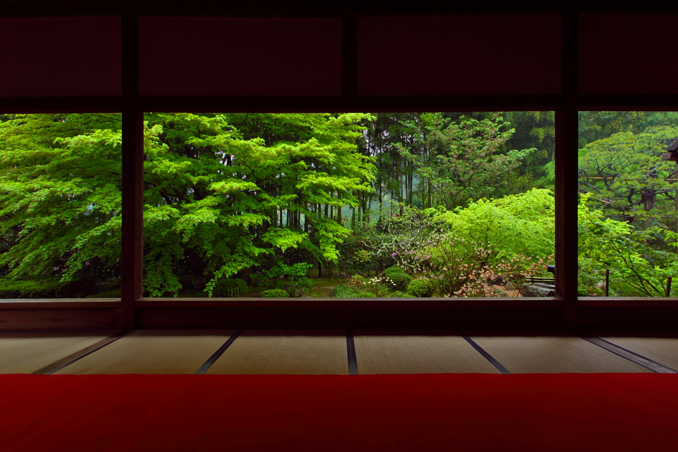 Trädgård Kyoto