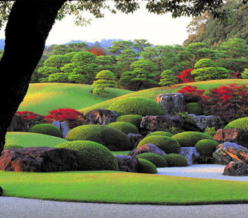 Japans finaste trädgård, Adachi