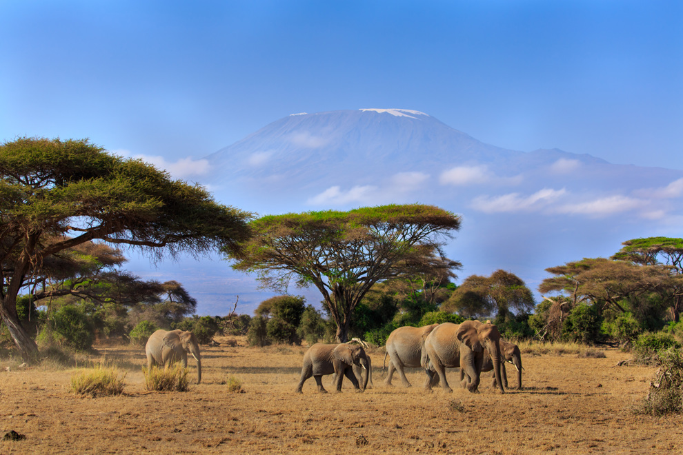 Berget Kilimanjaro