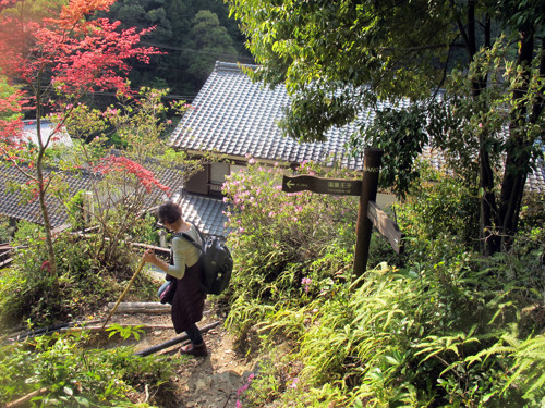 Vandring Kumano