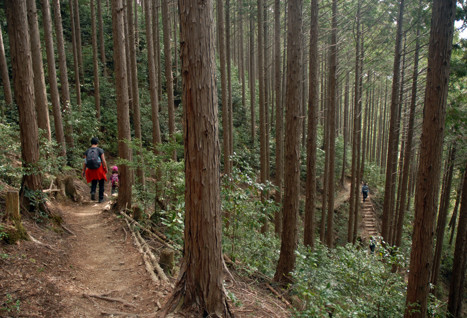 Kumano Kodo