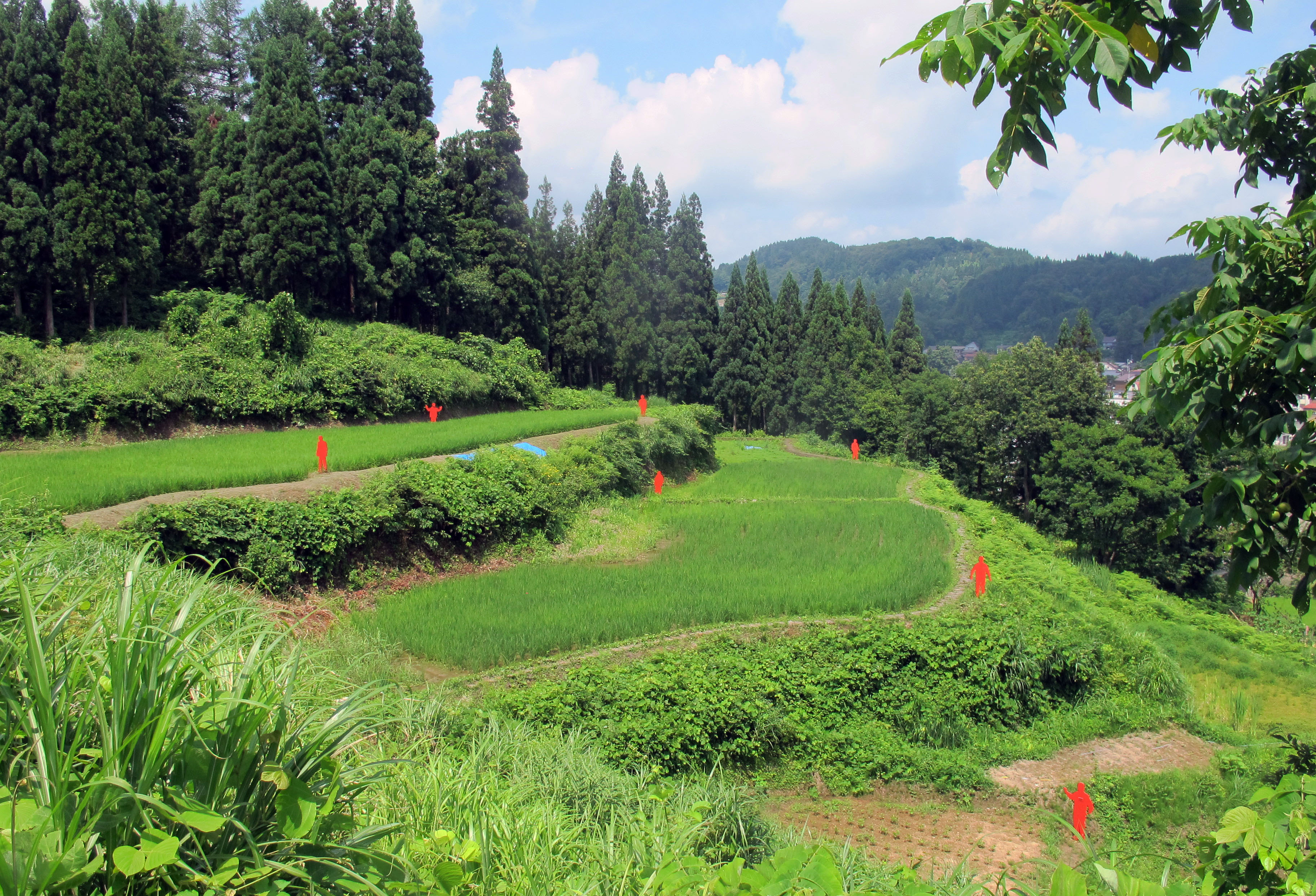 Terrassodlingarna i Matsudai