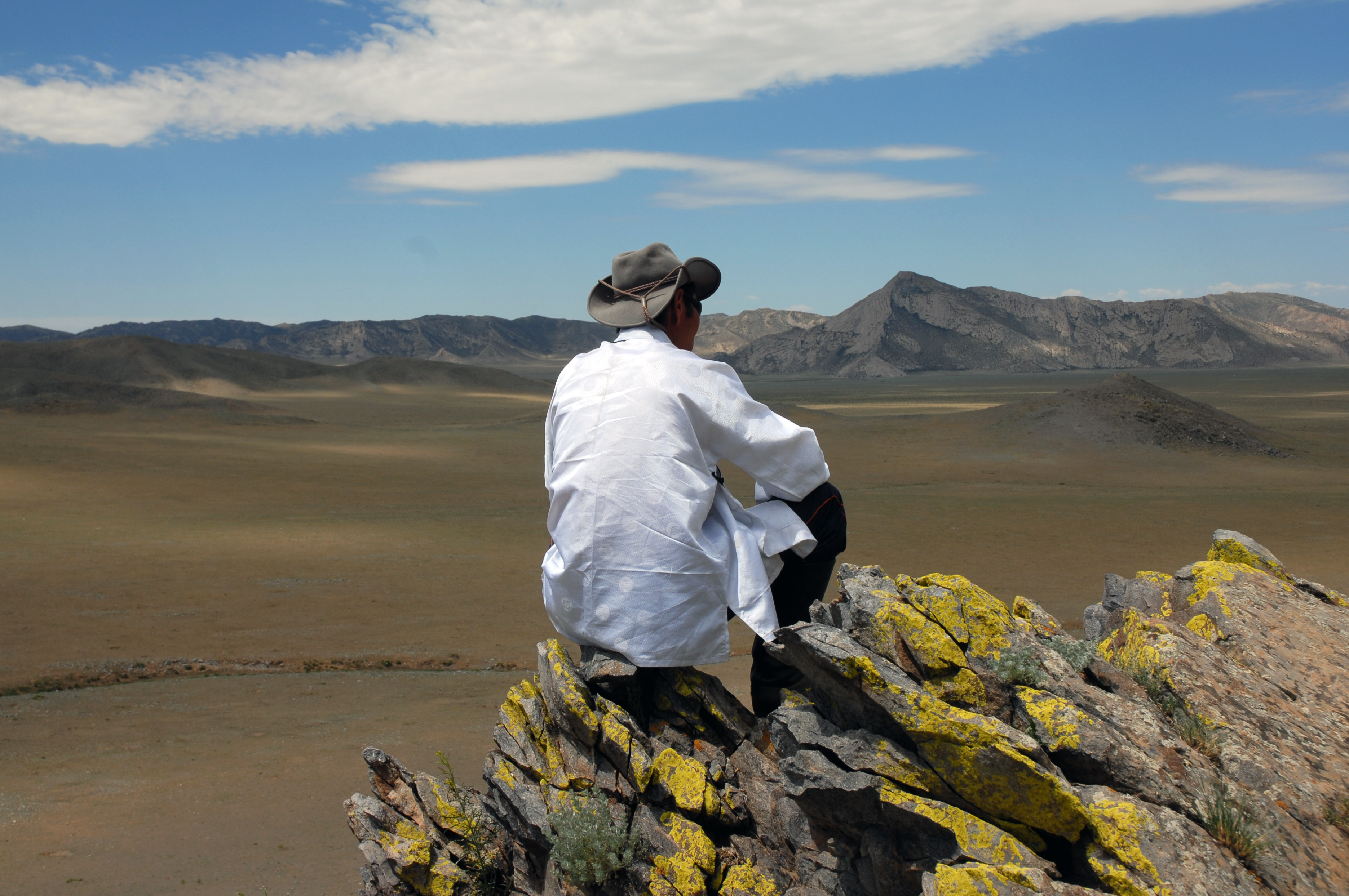 Ökenområde Mongoliet