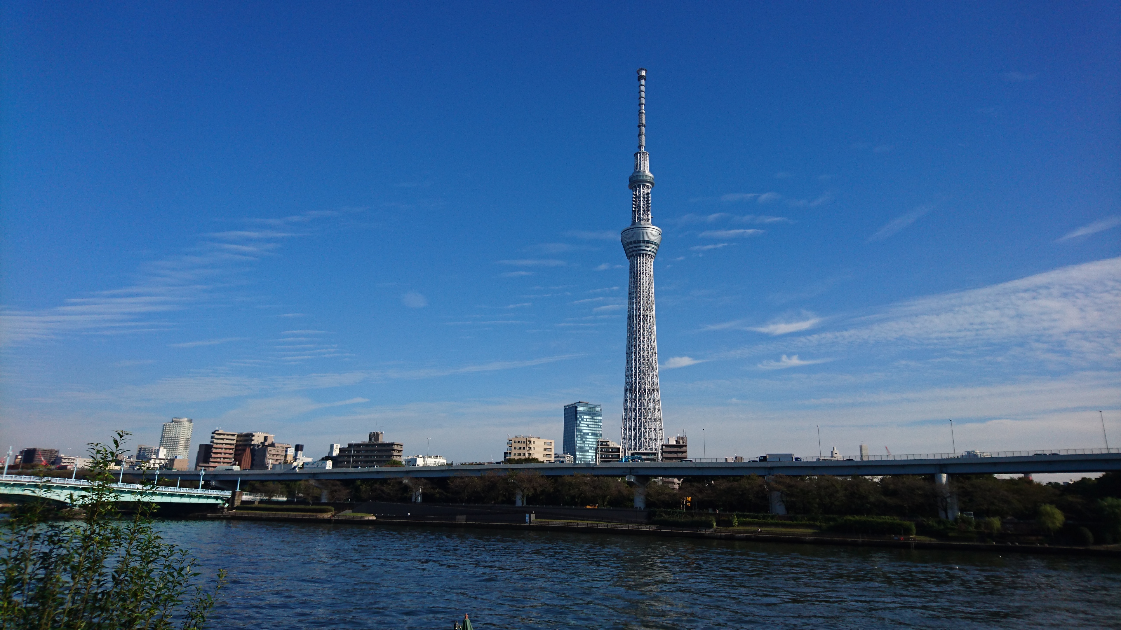 Skytree