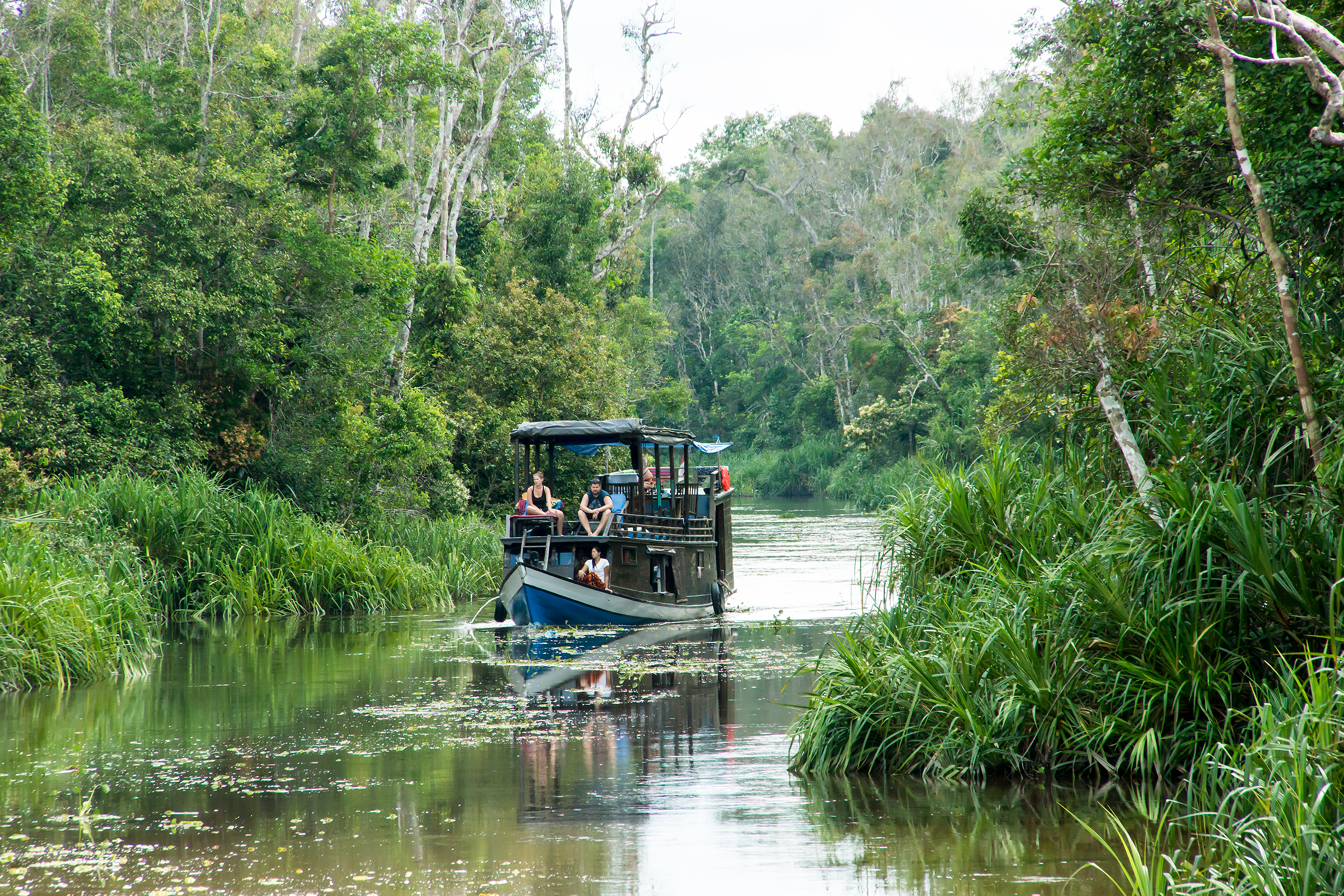 Båtfärd på Borneo