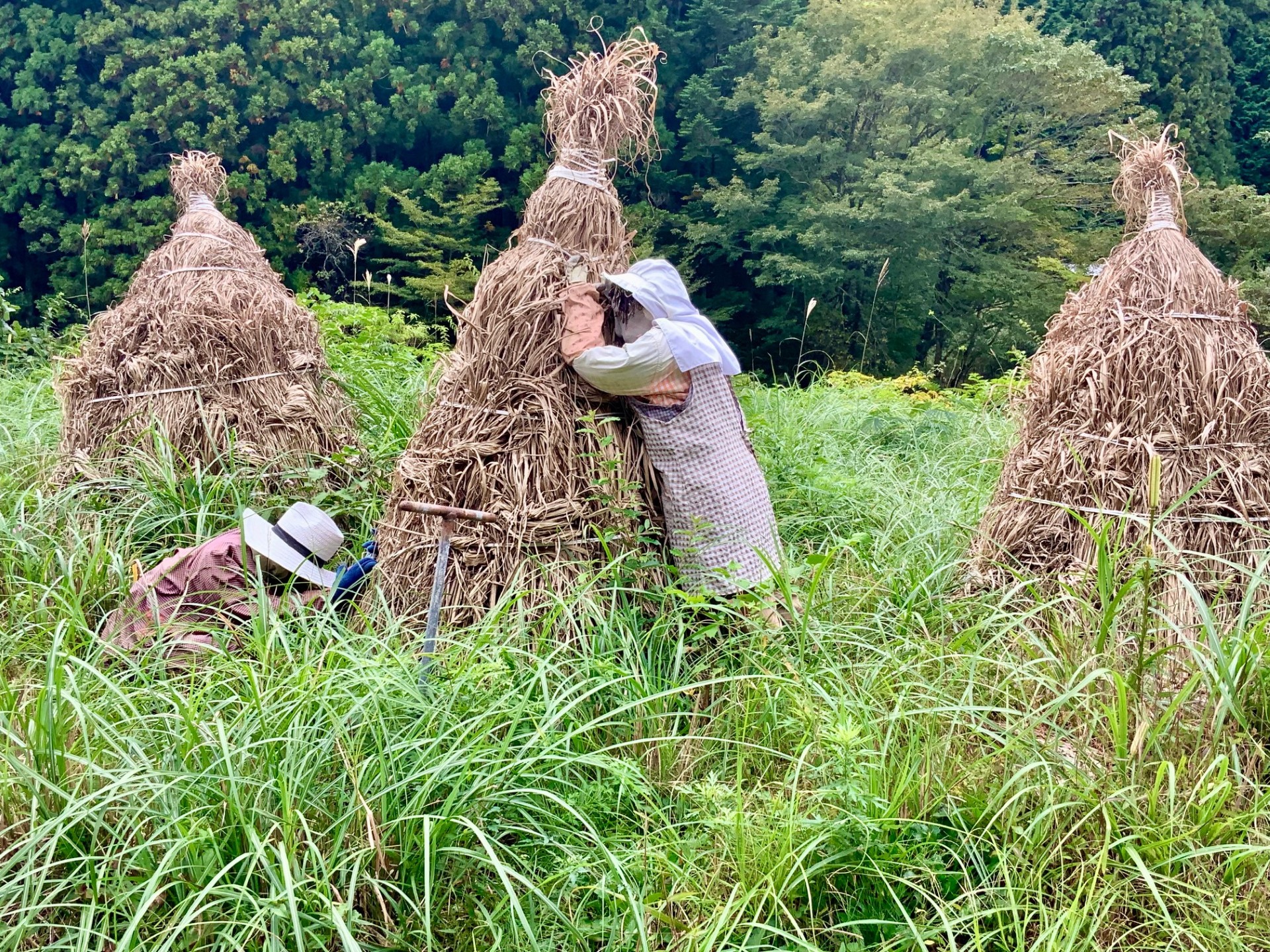 Nagorno dockor i fält