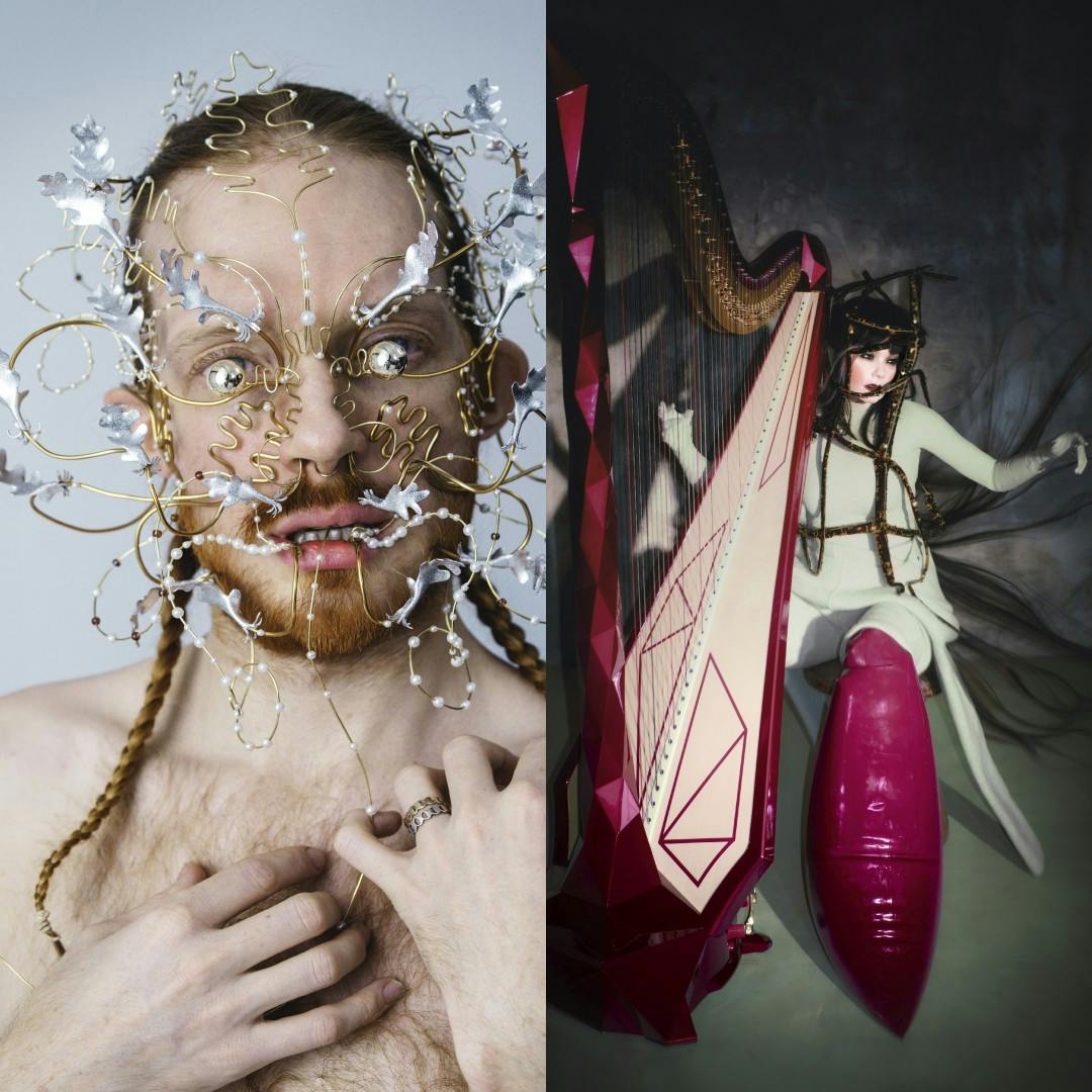 På bilden ser vi en bild från en utställningen på Islands nationalgalleri med James Merry och Björk